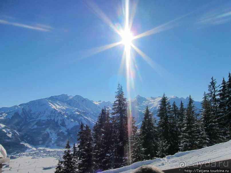 Альбом отзыва "Горнолыжная Австрия и какие бывают лыжи"