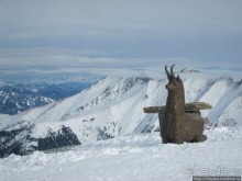 Альбом отзыва "Горнолыжная Австрия и какие бывают лыжи"