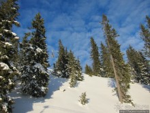 Горнолыжная Австрия и какие бывают лыжи