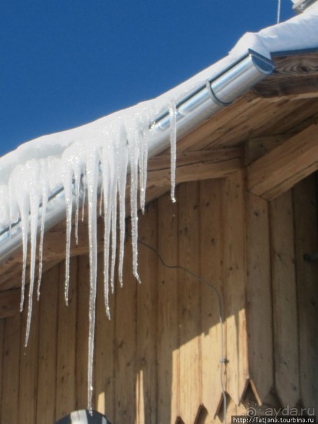 Альбом отзыва "Горнолыжная Австрия и какие бывают лыжи"