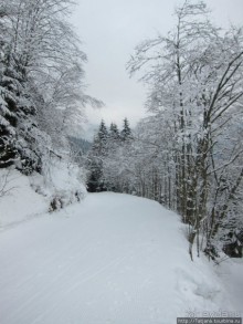 Горнолыжная Австрия и какие бывают лыжи