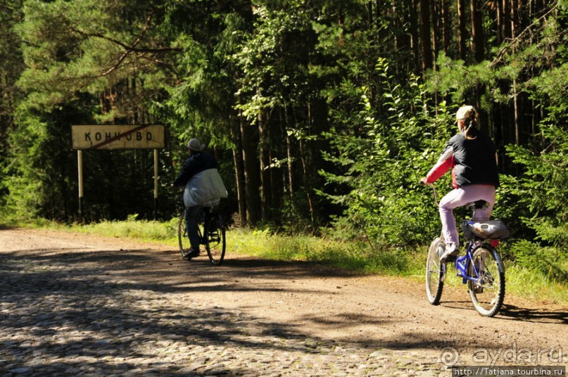 Альбом отзыва "Пямятник братьям Койвунен и П.Юлле (по дороге за молоком)"