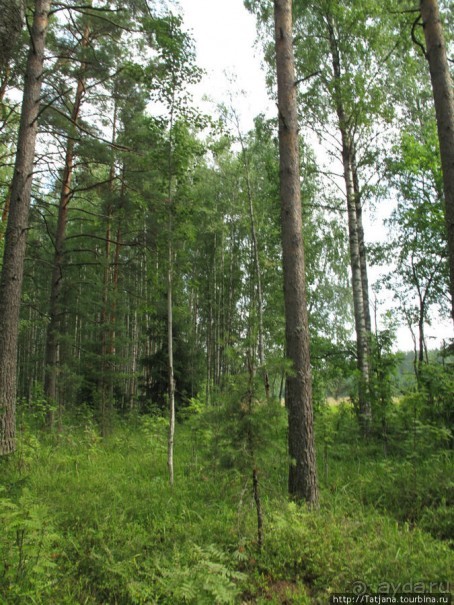 фото Кирова