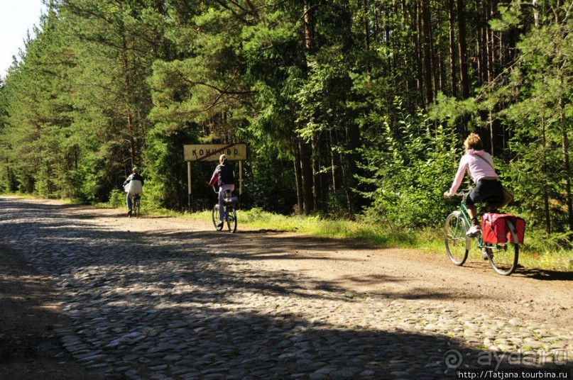 Альбом отзыва "Пямятник братьям Койвунен и П.Юлле (по дороге за молоком)"