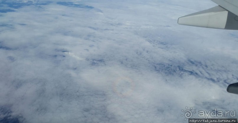 Пролетая из Европы в Африку