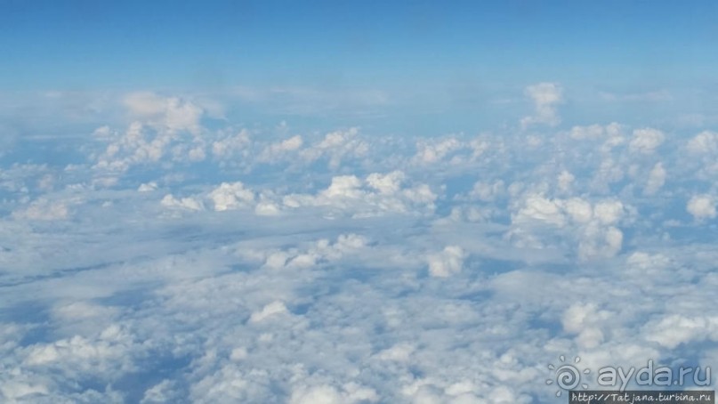 Пролетая из Европы в Африку