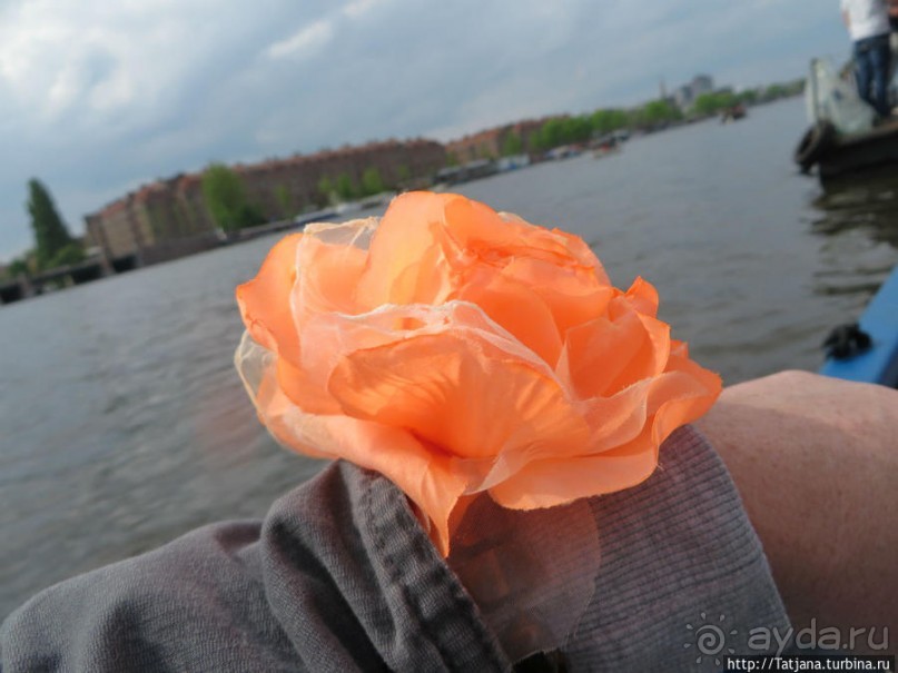 По каналам в день Короля в Амстердаме