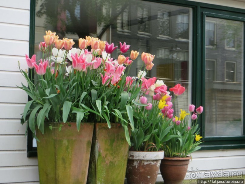 По каналам в день Короля в Амстердаме