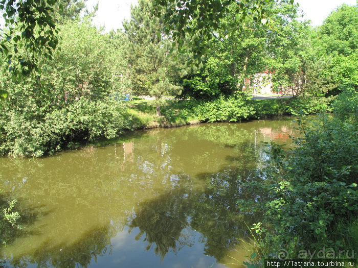 Зеленая зона недалеко от Веерта