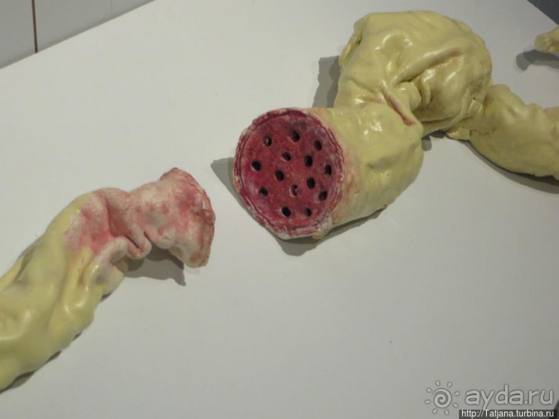 Винзавод и искусство современности