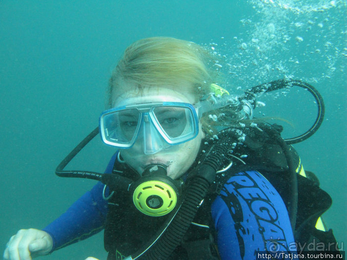 Альбом отзыва "Дайвинг в Африке - район Diani Beach."