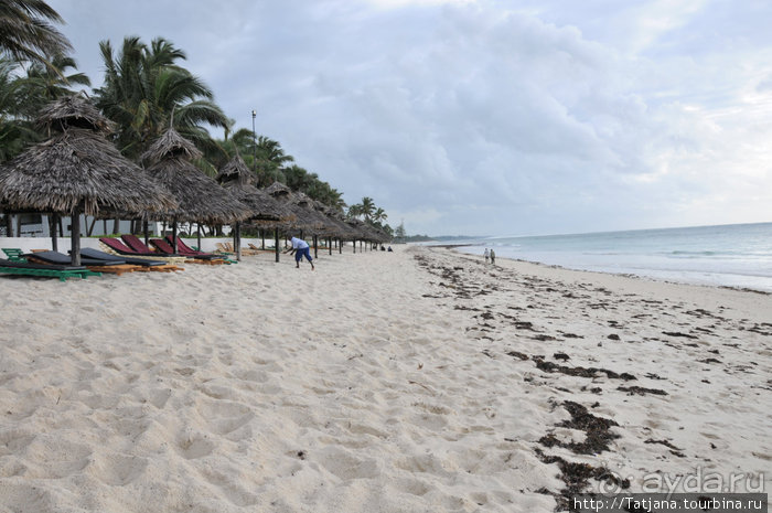 Дайвинг в Африке - район Diani Beach.