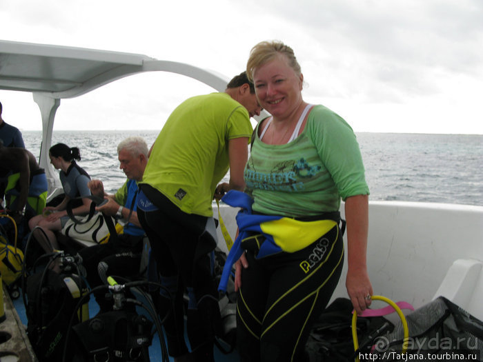 Дайвинг в Африке - район Diani Beach.