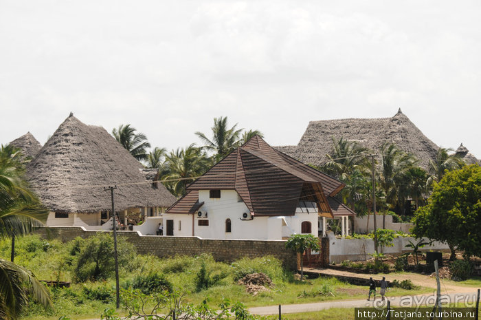 Дайвинг в Африке - район Diani Beach.