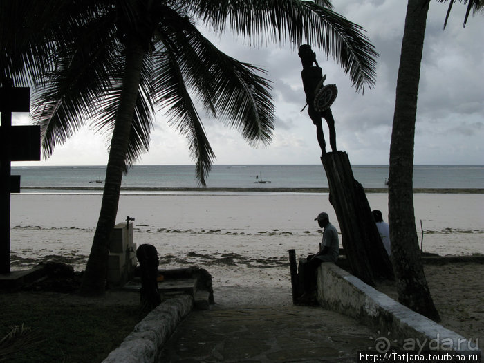 Дайвинг в Африке - район Diani Beach.