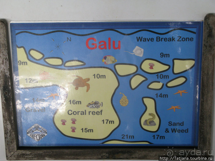 Дайвинг в Африке - район Diani Beach.