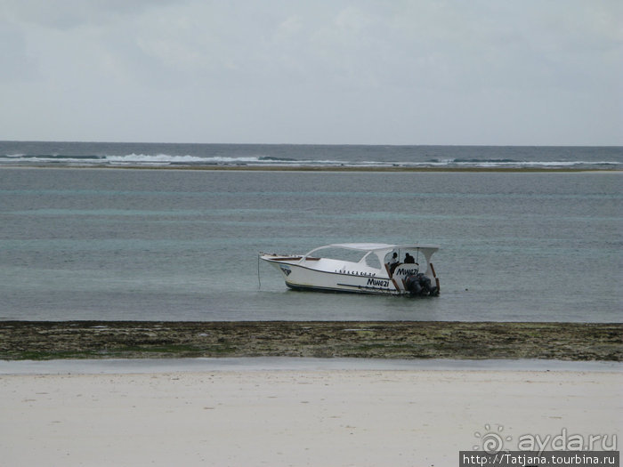 Дайвинг в Африке - район Diani Beach.