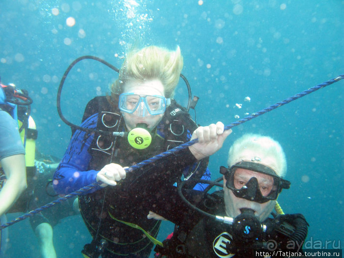 Дайвинг в Африке - район Diani Beach.