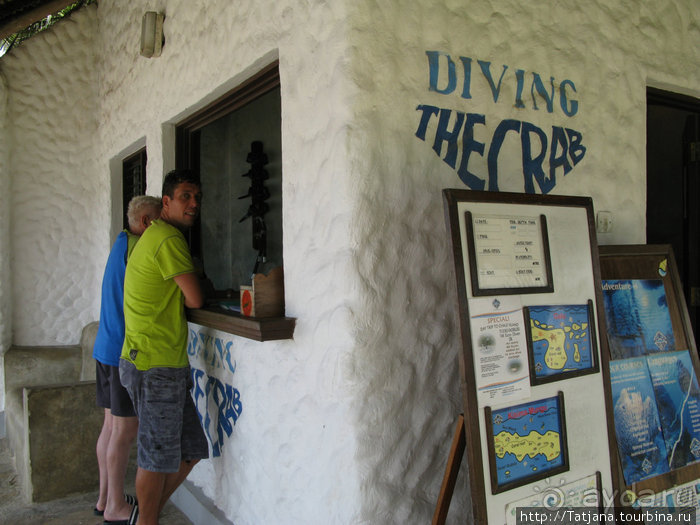 Дайвинг в Африке - район Diani Beach.