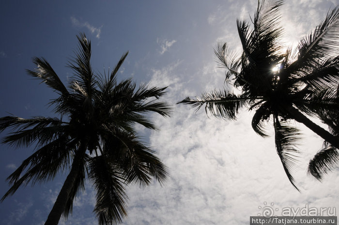 Дайвинг в Африке - район Diani Beach.