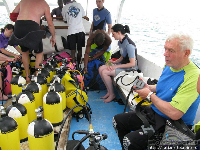 Дайвинг в Африке - район Diani Beach.