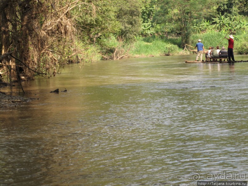 Альбом отзыва "Рафтинг по Тайски..."