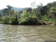 Рафтинг по Тайски...