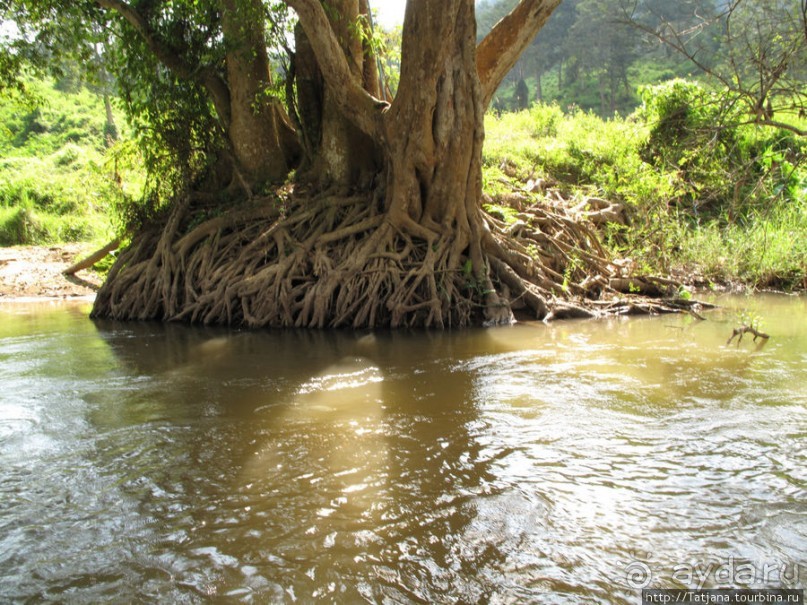 Рафтинг по Тайски...