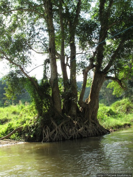 Рафтинг по Тайски...