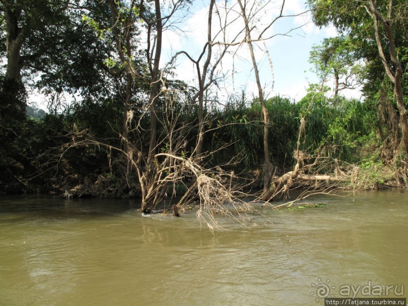 Рафтинг по Тайски...