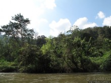 Рафтинг по Тайски...