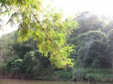 Рафтинг по Тайски...