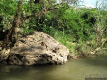 Альбом отзыва "Рафтинг по Тайски..."