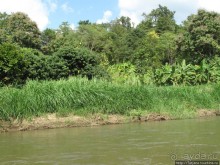 Рафтинг по Тайски...