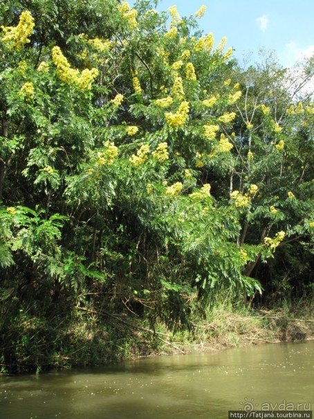Альбом отзыва "Рафтинг по Тайски..."