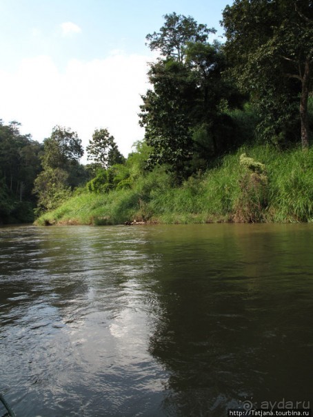 Альбом отзыва "Рафтинг по Тайски..."