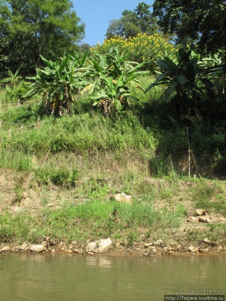 Рафтинг по Тайски...