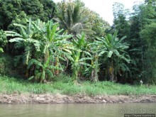 Рафтинг по Тайски...