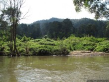 Альбом отзыва "Рафтинг по Тайски..."