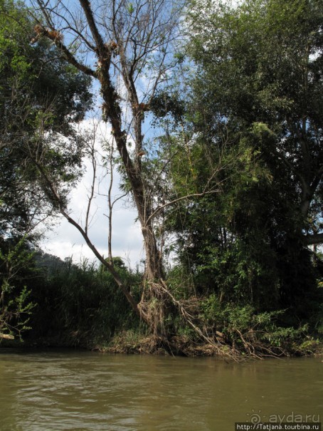 Рафтинг по Тайски... Рафтинг по Тайски...