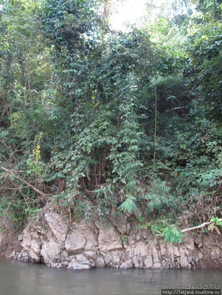 Рафтинг по Тайски... Рафтинг по Тайски...