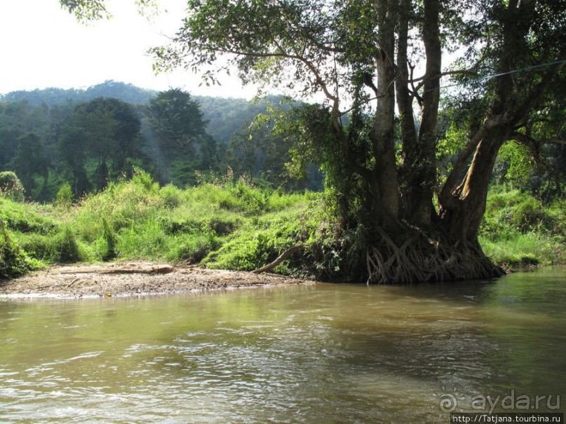 Рафтинг по Тайски... Рафтинг по Тайски...