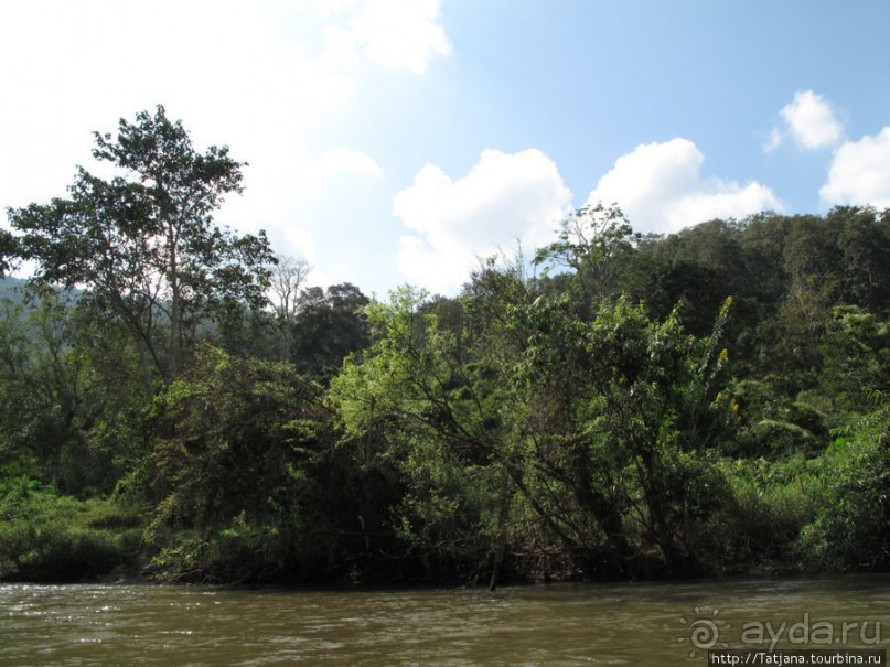 Рафтинг по Тайски... Рафтинг по Тайски...