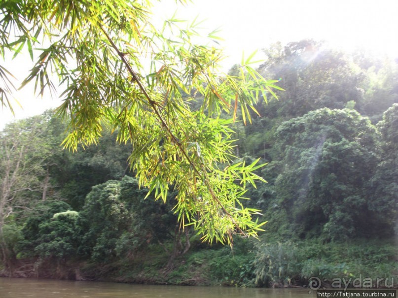 Рафтинг по Тайски... Рафтинг по Тайски...