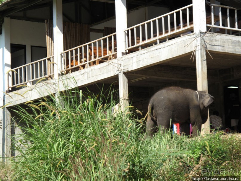 Рафтинг по Тайски... Рафтинг по Тайски...