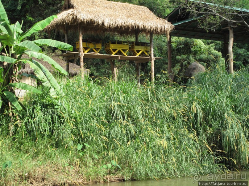 Рафтинг по Тайски... Рафтинг по Тайски...