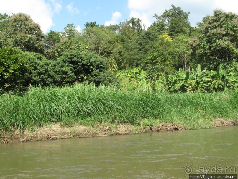 Рафтинг по Тайски... Рафтинг по Тайски...