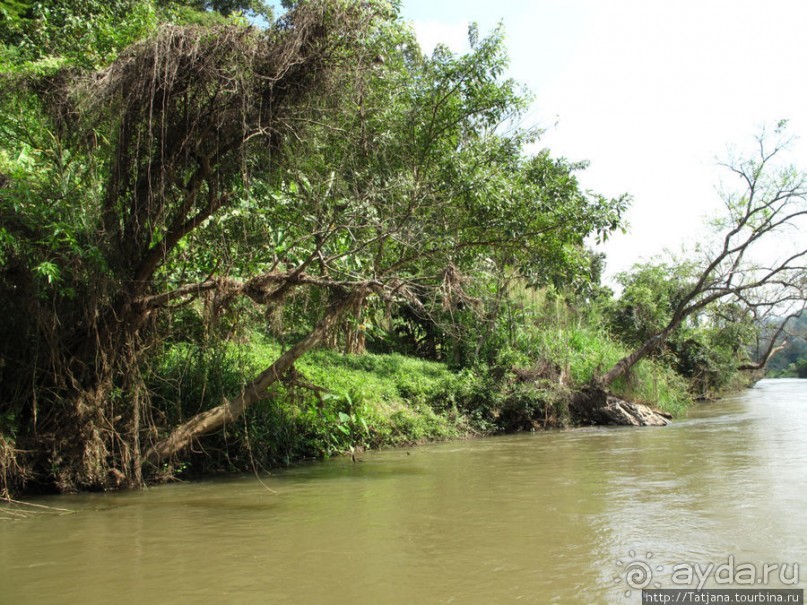 Рафтинг по Тайски... Рафтинг по Тайски...