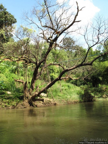 Рафтинг по Тайски... Рафтинг по Тайски...