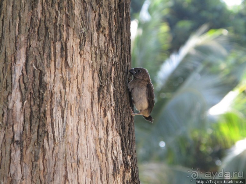 Велосипедная прогулка по окресностям Чанг-Мая.